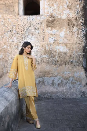 2 Piece - Embroidered Suit - KFS23-24