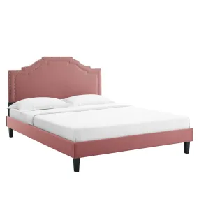 Adelaide Performance Velvet Queen Platform Bed By Modway - MOD-6582 - Dusty Rose