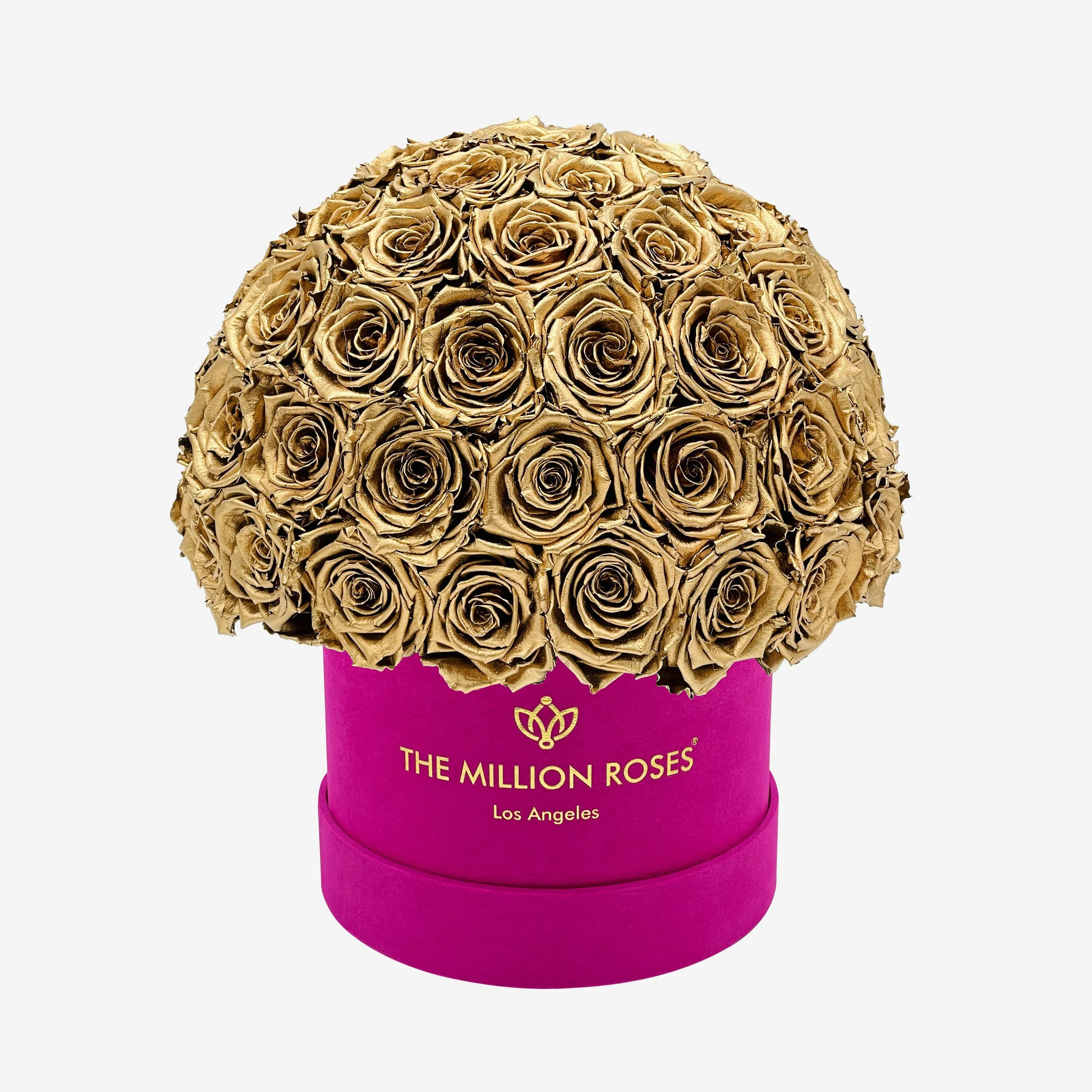 Classic Hot Pink Suede Superdome Box | Gold Roses