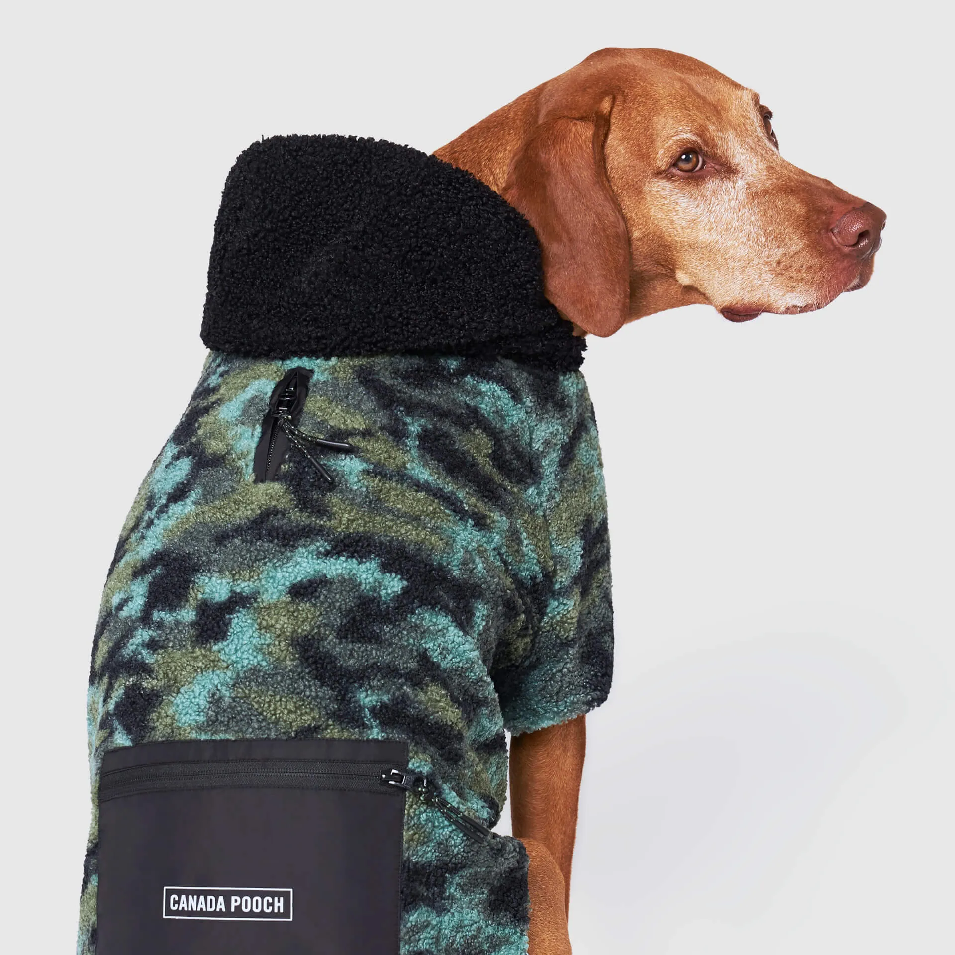 Cool Factor Hoodie