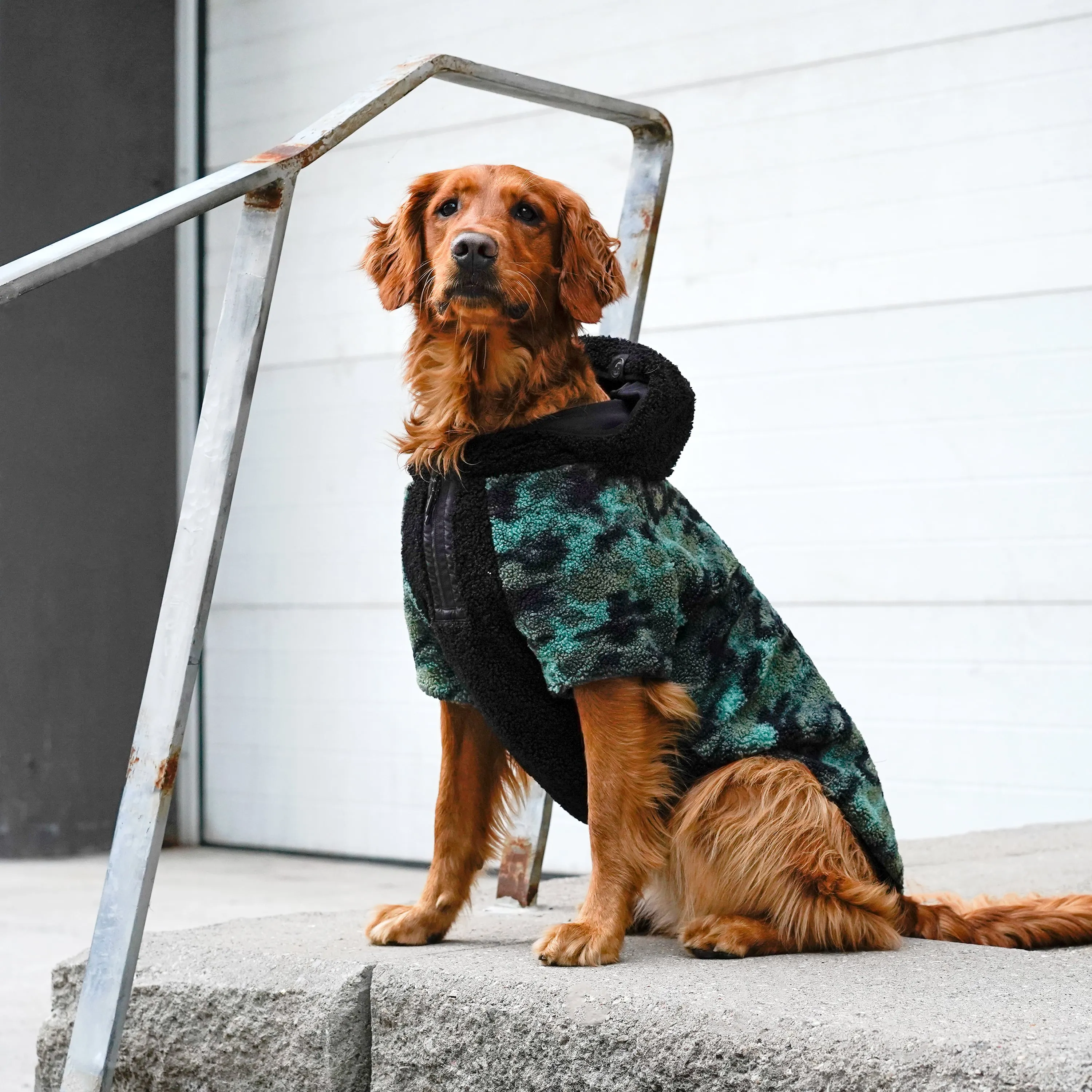 Cool Factor Hoodie