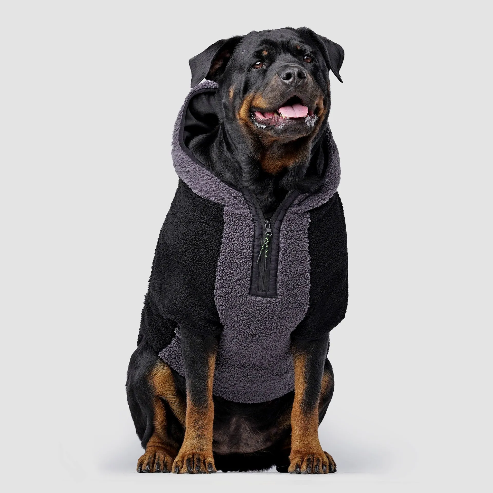 Cool Factor Hoodie