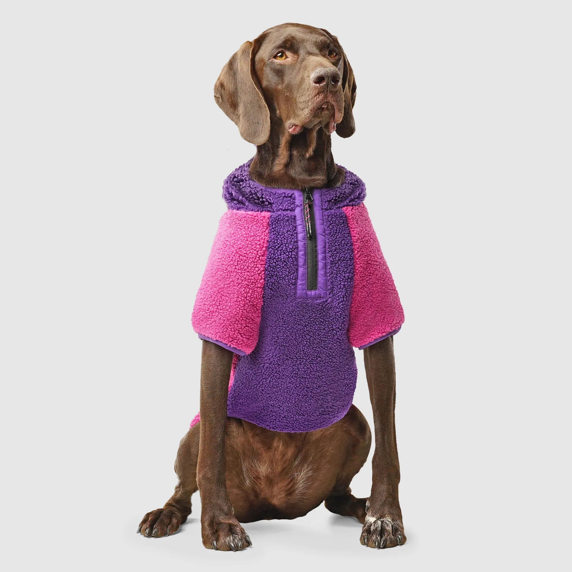 Cool Factor Hoodie