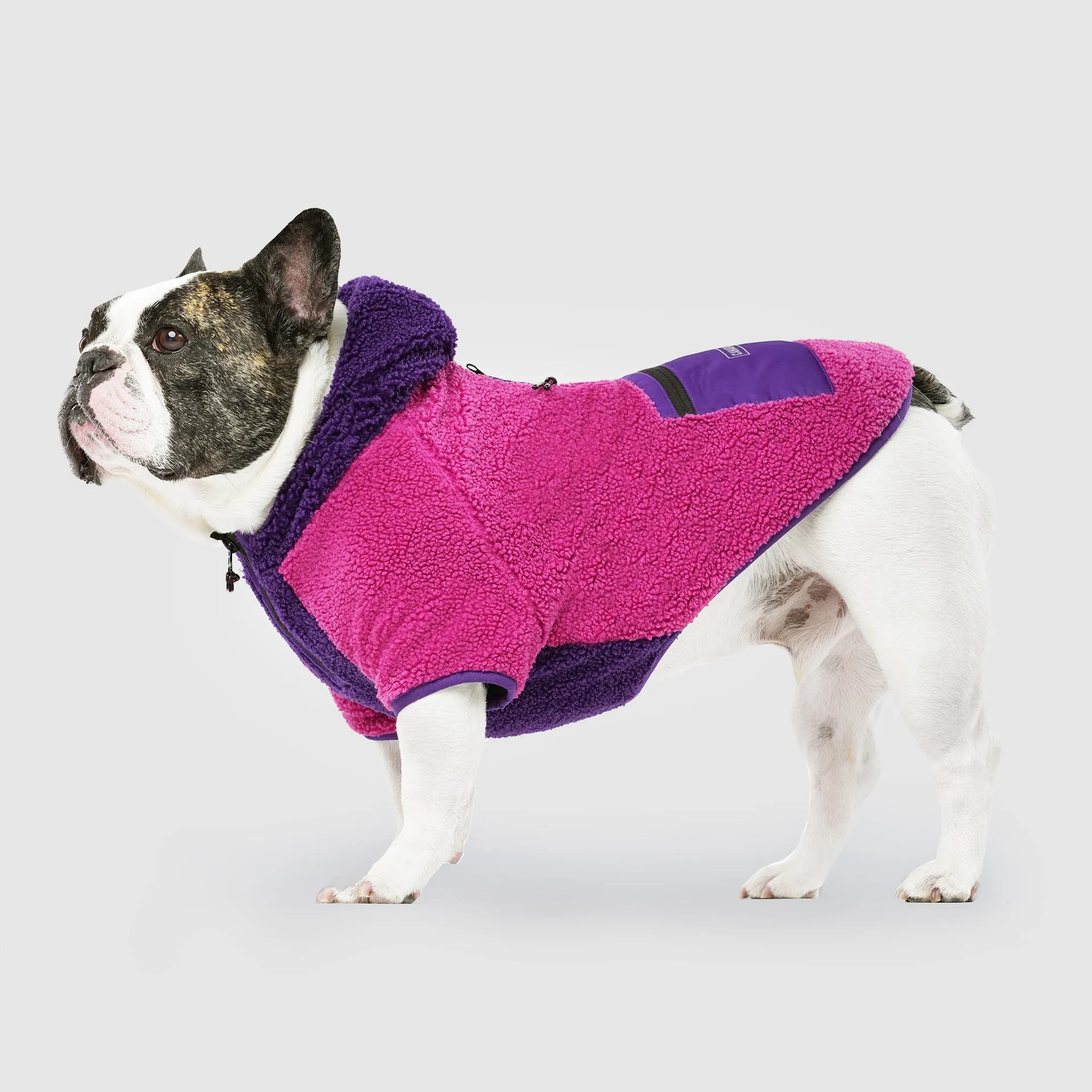 Cool Factor Hoodie