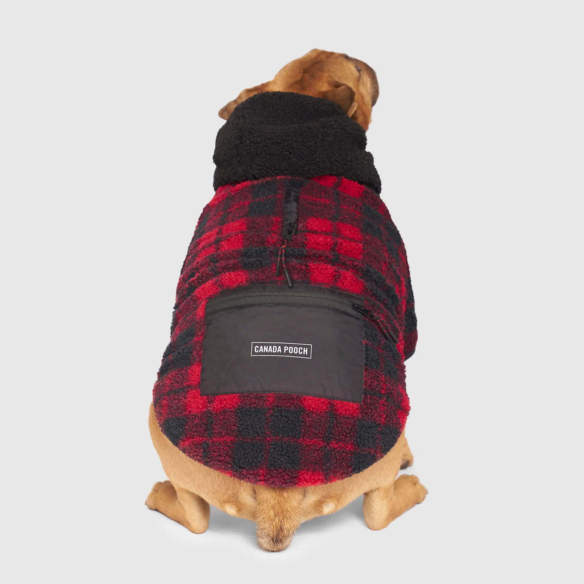 Cool Factor Hoodie