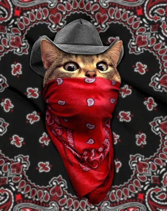 Cowgirl Kim Masked Gato Tee Dress