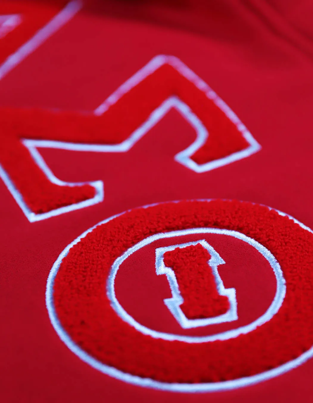 Delta Chenille Letter Hoodie