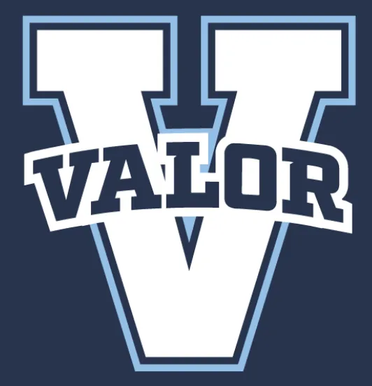 Essentials Tee Navy Valor V Long Sleeve