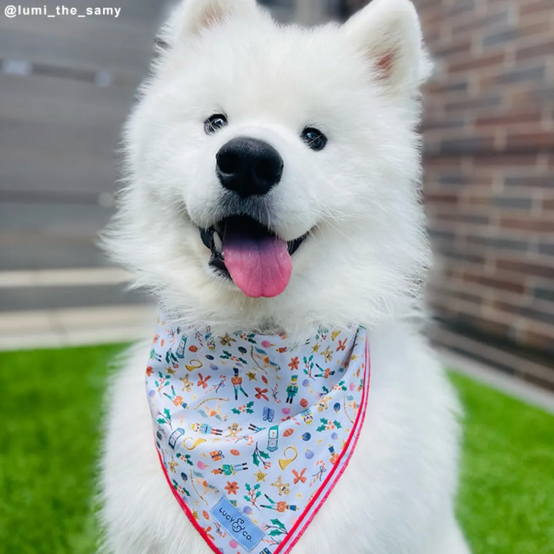 The Sugarplum Bandana - Large by Lucy & Co